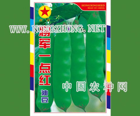 将军一点红